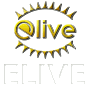 Elive 2.0 i386 CD