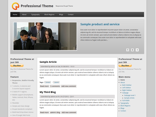 Drupal Professional Theme