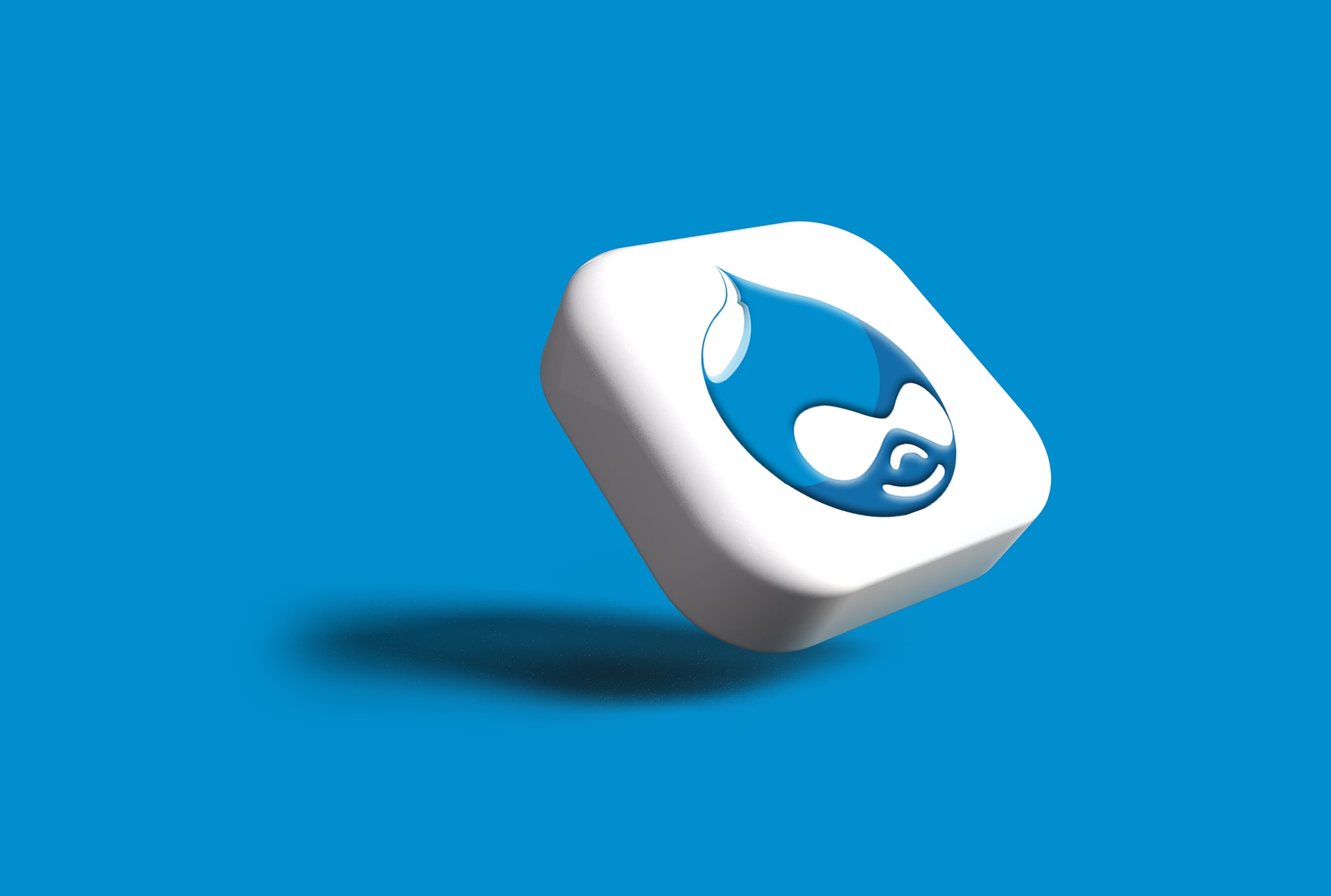 Drupal Logo
