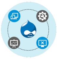 Drupal Services icon