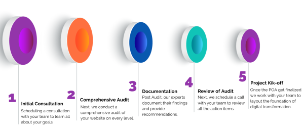 How Zyxware Drupal Website Audit Works