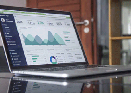 Website Audit