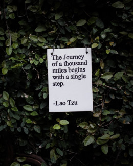 The Journey of a thousand miles begins with a single step. Credit: Hester Qiang