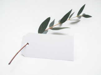 An olive branch (representational image). Improved Cx translates to improved business. Credit: Helena Hertz