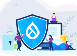 Drupal Security Audit